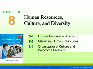 8 Human Resources, Culture, and Diversity 8-1