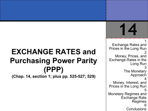 14 EXCHANGE RATES and Purchasing Power Parity (PPP)