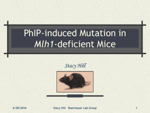 PhIP-induced Mutation in Mlh1 Stacy Hill 6/28/2016
