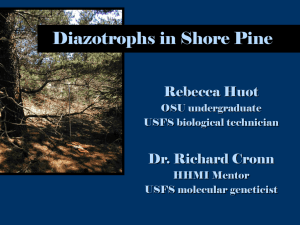 Diazotrophs in Shore Pine Rebecca Huot Dr. Richard Cronn OSU undergraduate