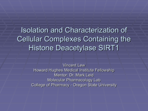 Isolation and Characterization of Cellular Complexes Containing the Histone Deacetylase SIRT1