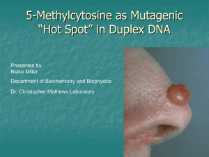 5-Methylcytosine as Mutagenic “Hot Spot” in Duplex DNA Presented by Blake Miller