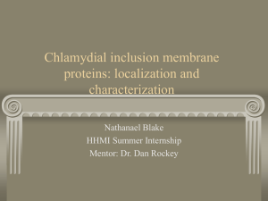 Chlamydial inclusion membrane proteins: localization and characterization Nathanael Blake