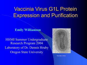 Vaccinia Virus G1L Protein Expression and Purification HHMI Summer Undergraduate Research Program 2004