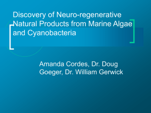 Discovery of Neuro-regenerative Natural Products from Marine Algae and Cyanobacteria