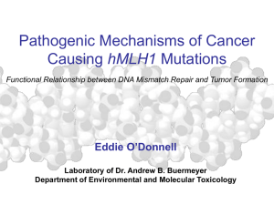 Pathogenic Mechanisms of Cancer hMLH1 Eddie O’Donnell