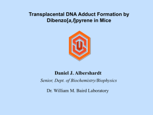 Transplacental DNA Adduct Formation by a,l Daniel J. Albershardt Senior, Dept. of Biochemistry/Biophysics
