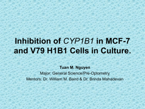 Inhibition of and V79 H1B1 Cells in Culture. Tuan M. Nguyen