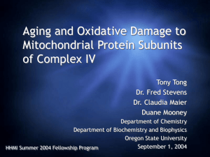 Aging and Oxidative Damage to Mitochondrial Protein Subunits of Complex IV Tony Tong
