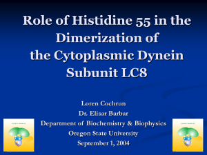 Role of Histidine 55 in the Dimerization of the Cytoplasmic Dynein Subunit LC8