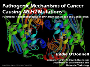 MLH1 Pathogenic Mechanisms of Cancer Causing Mutations