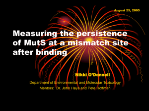 Measuring the persistence of MutS at a mismatch site after binding Nikki O’Donnell