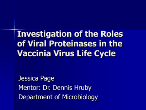 Investigation of the Roles of Viral Proteinases in the Jessica Page
