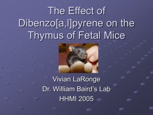 The Effect of Dibenzo[a,l]pyrene on the Thymus of Fetal Mice Vivian LaRonge