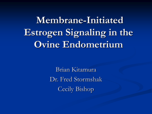 Membrane-Initiated Estrogen Signaling in the Ovine Endometrium Brian Kitamura