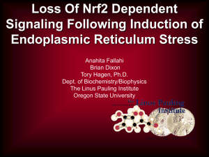 Loss Of Nrf2 Dependent Signaling Following Induction of Endoplasmic Reticulum Stress
