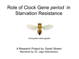 period Starvation Resistance A Research Project by: Sarah Strawn