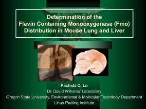 Determination of the Flavin Containing Monooxygenase (Fmo)
