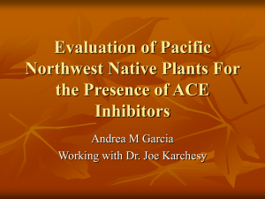 Evaluation of Pacific Northwest Native Plants For the Presence of ACE Inhibitors