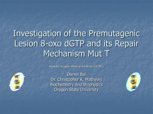 Investigation of the Premutagenic Lesion 8-oxo dGTP and its Repair Daniel Bai