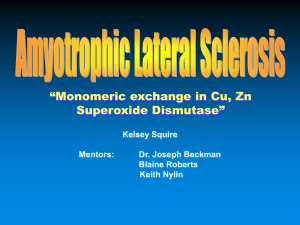 “Monomeric exchange in Cu, Zn Superoxide Dismutase” Kelsey Squire Mentors: