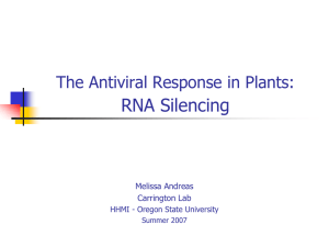 RNA Silencing The Antiviral Response in Plants: Melissa Andreas Carrington Lab