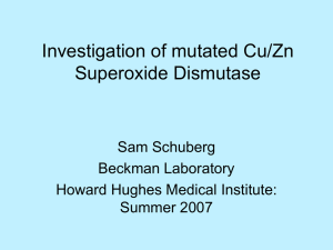Investigation of mutated Cu/Zn Superoxide Dismutase Sam Schuberg Beckman Laboratory