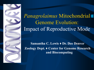 Panagrolaimus Genome Evolution: Impact of Reproductive Mode