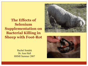 The Effects of Selenium Supplementation on Bacterial Killing in