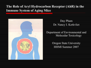 The Role of Aryl Hydrocarbon Receptor (AhR) in the