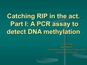 Catching RIP in the act. Part I: A PCR assay to
