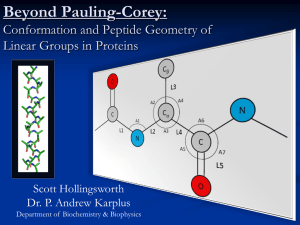 Beyond Pauling-Corey: Conformation and Peptide Geometry of Linear Groups in Proteins Scott Hollingsworth