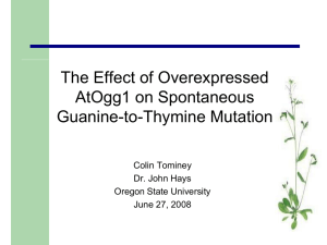 The Effect of Overexpressed AtOgg1 on Spontaneous Guanine-to-Thymine Mutation Colin Tominey