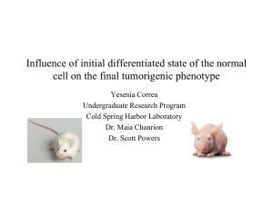 Influence of initial differentiated state of the normal