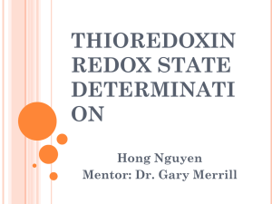 THIOREDOXIN REDOX STATE DETERMINATI ON