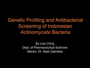 Genetic Profiling and Antibacterial Screening of Indonesian Actinomycete By Lisa Ching