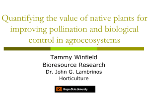 Quantifying the value of native plants for improving pollination and biological