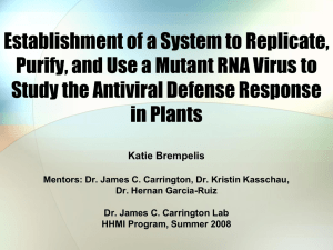 Establishment of a System to Replicate, Study the Antiviral Defense Response