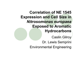 Correlation of NE 1545 Expression and Cell Size in Exposed to Aromatic Hydrocarbons