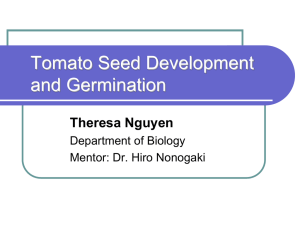 Tomato Seed Development and Germination Theresa Nguyen Department of Biology