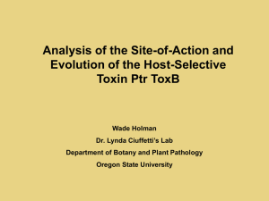 Analysis of the Site-of-Action and Evolution of the Host-Selective Toxin Ptr ToxB