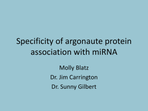 Specificity of argonaute protein association with miRNA Molly Blatz Dr. Jim Carrington