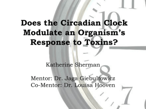 Does the Circadian Clock Modulate an Organism’s Response to Toxins? Katherine Sherman