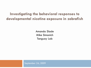Investigating the behavioral responses to developmental nicotine exposure in zebrafish Amanda Slade