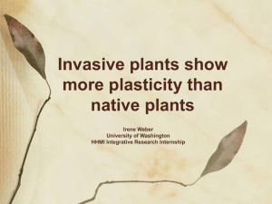 Invasive plants show more plasticity than native plants Irene Weber