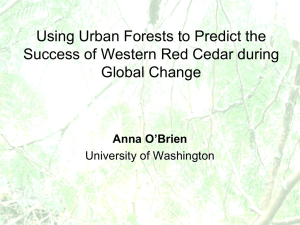 Using Urban Forests to Predict the Global Change Anna O’Brien