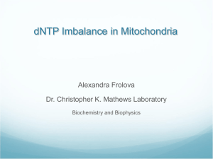 dNTP Imbalance in Mitochondria Alexandra Frolova Dr. Christopher K. Mathews Laboratory