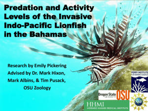 Predation and Activity Levels of the Invasive Indo-Pacific Lionfish in the Bahamas