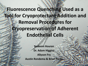 Fluorescence Quenching Used as a Tool for Cryoprotectant Addition and