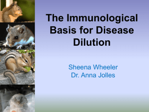 The Immunological Basis for Disease Dilution Sheena Wheeler